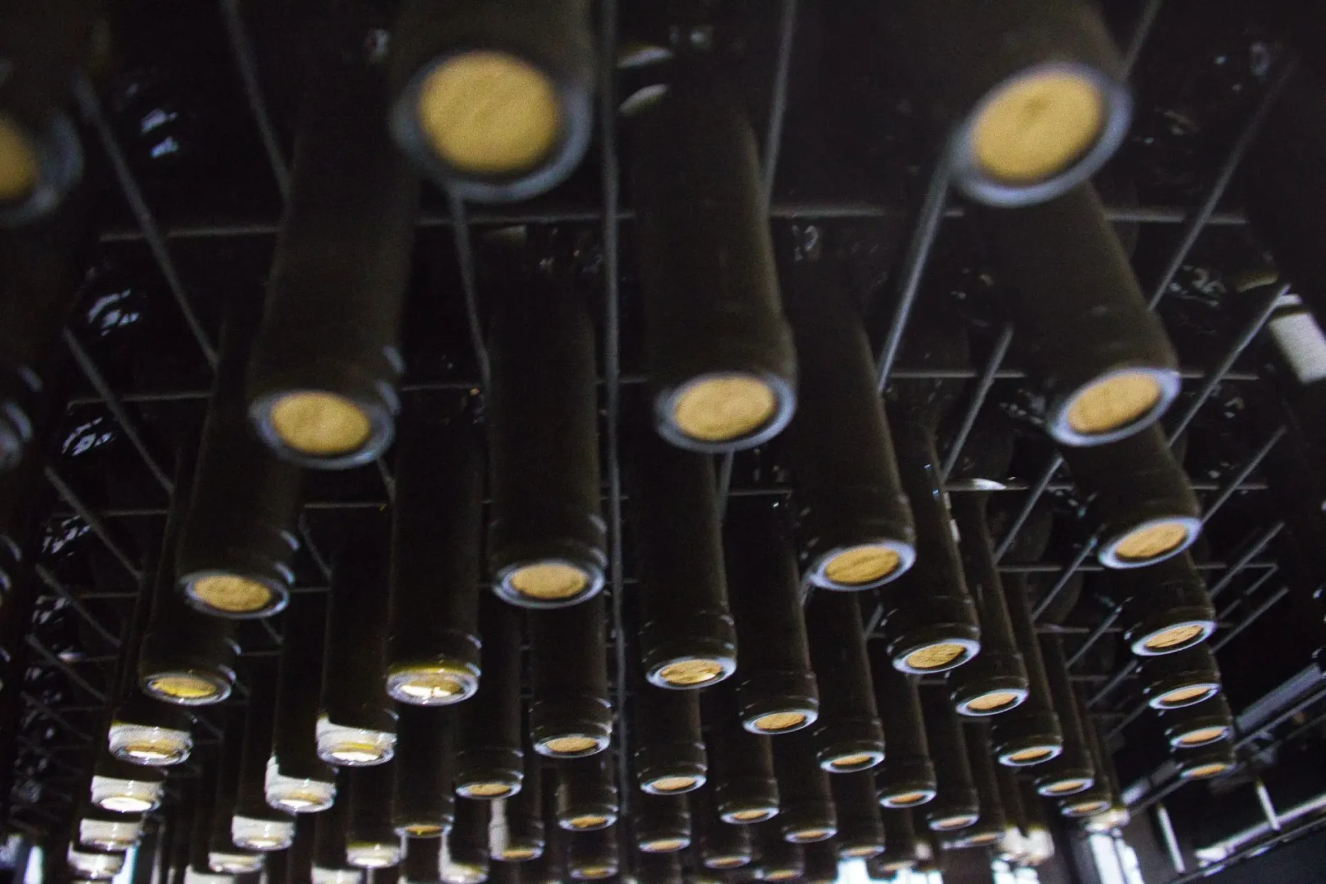 the rise of headless cms